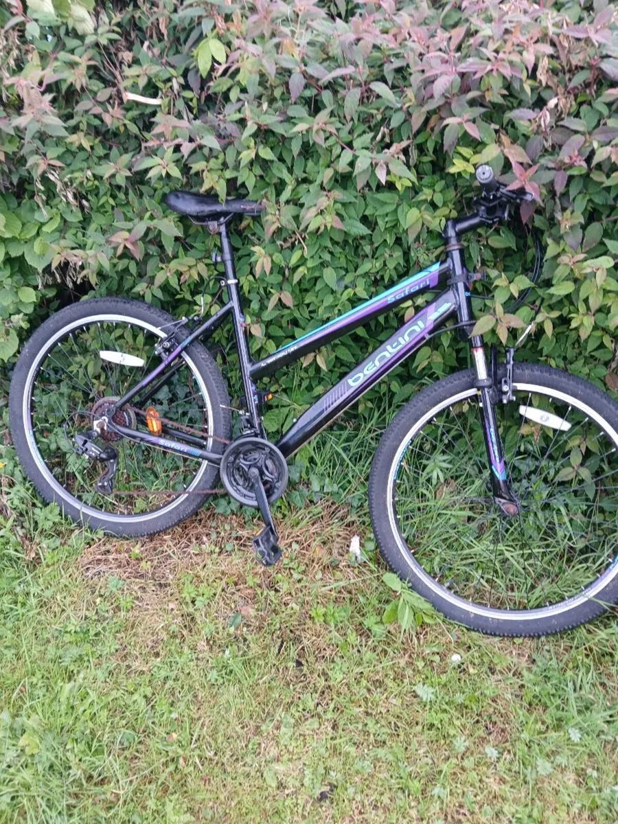 Ladies bike - Image 3