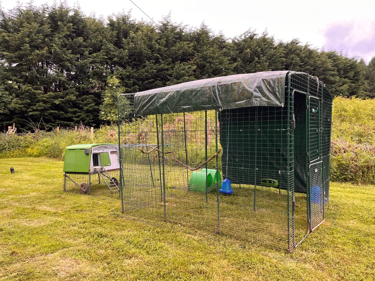 Omlet Chicken Coop and Run - Image 2