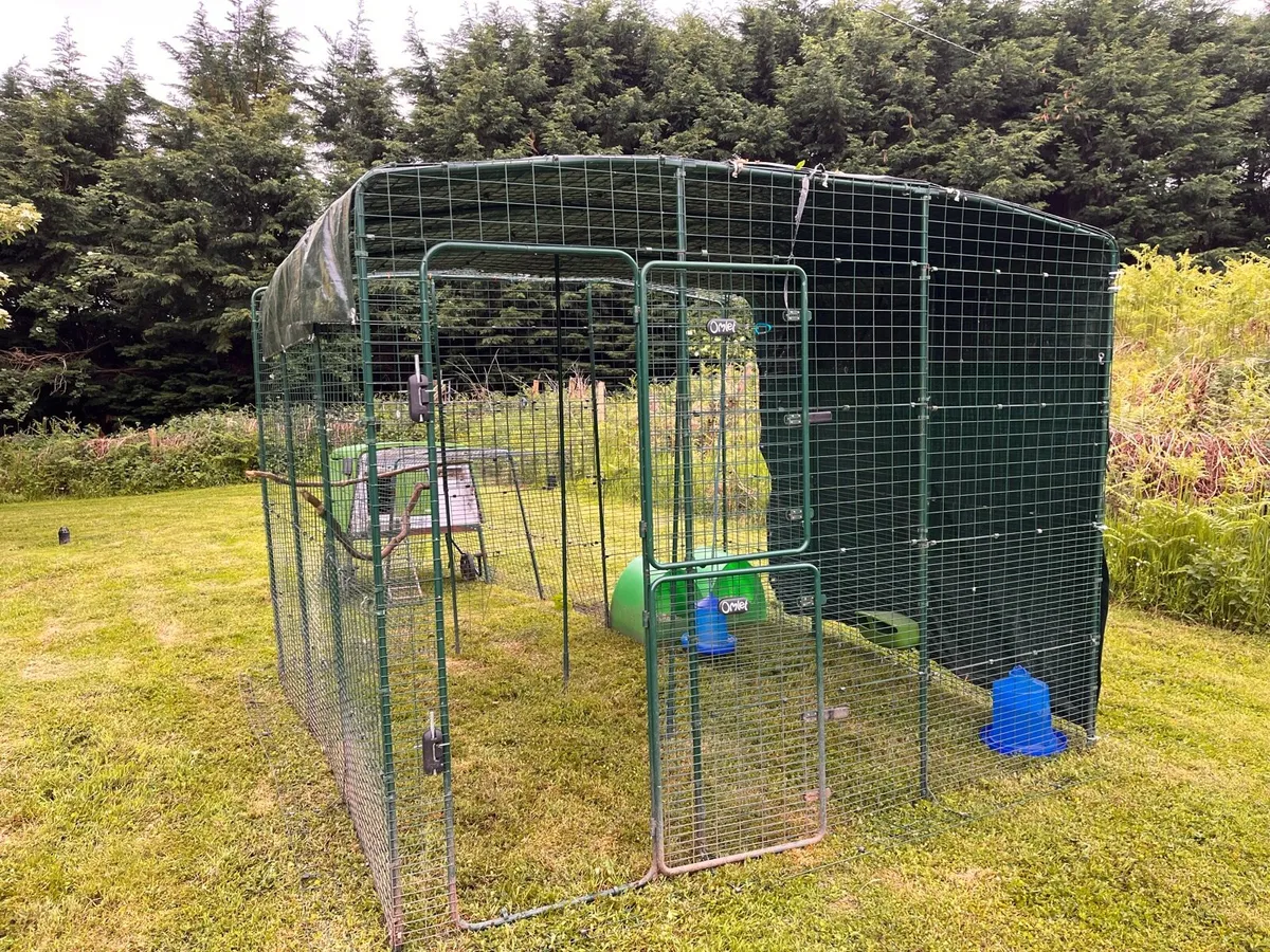 Omlet Chicken Coop and Run - Image 1