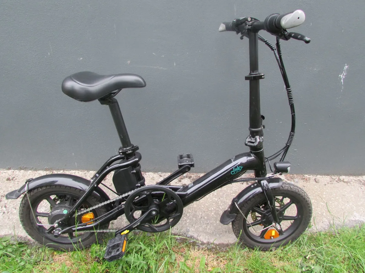 Fiido D3 Pro Electric Bike - Image 1