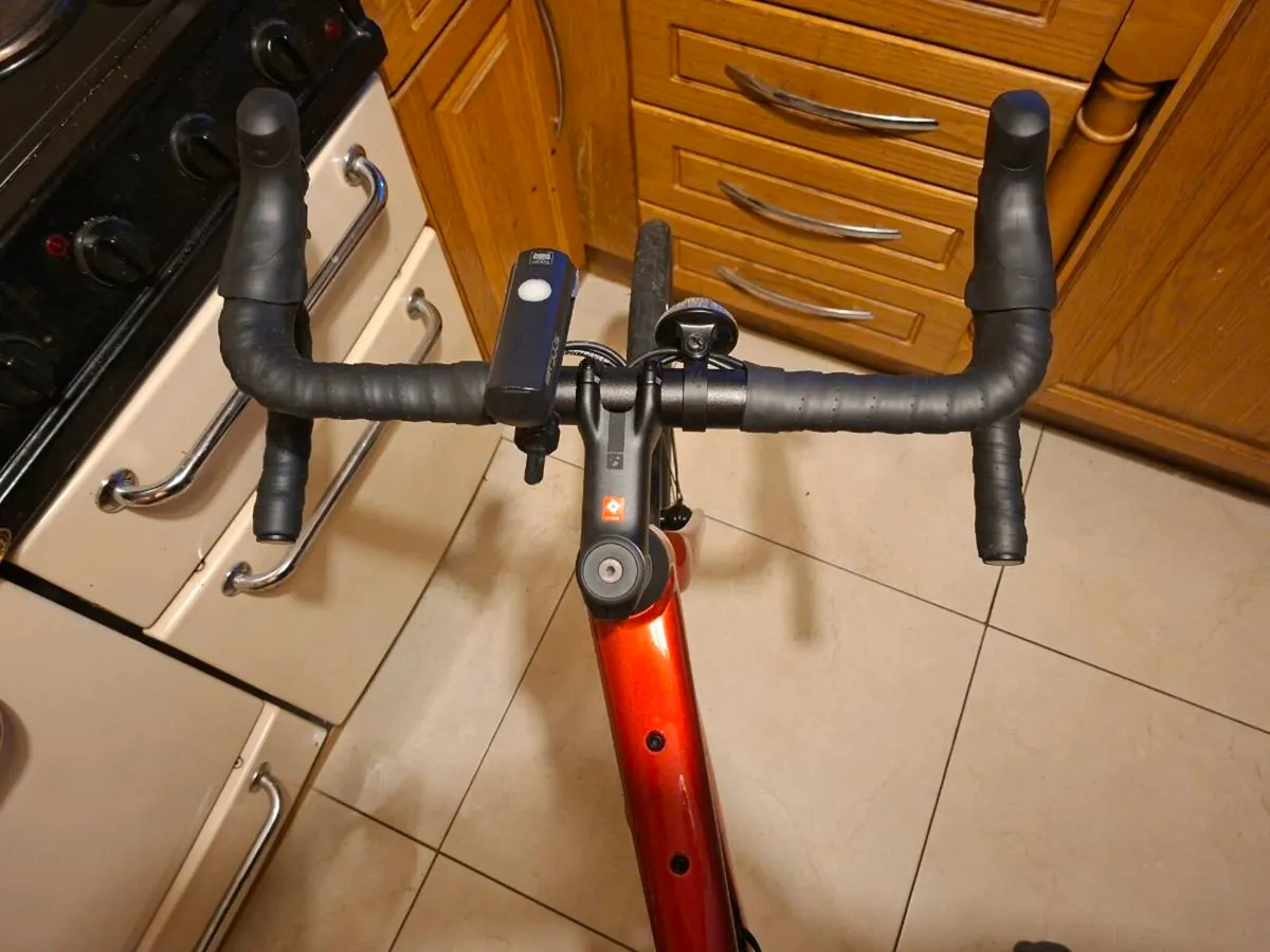 Trek Domane AL 2 Gen 4 - Image 2