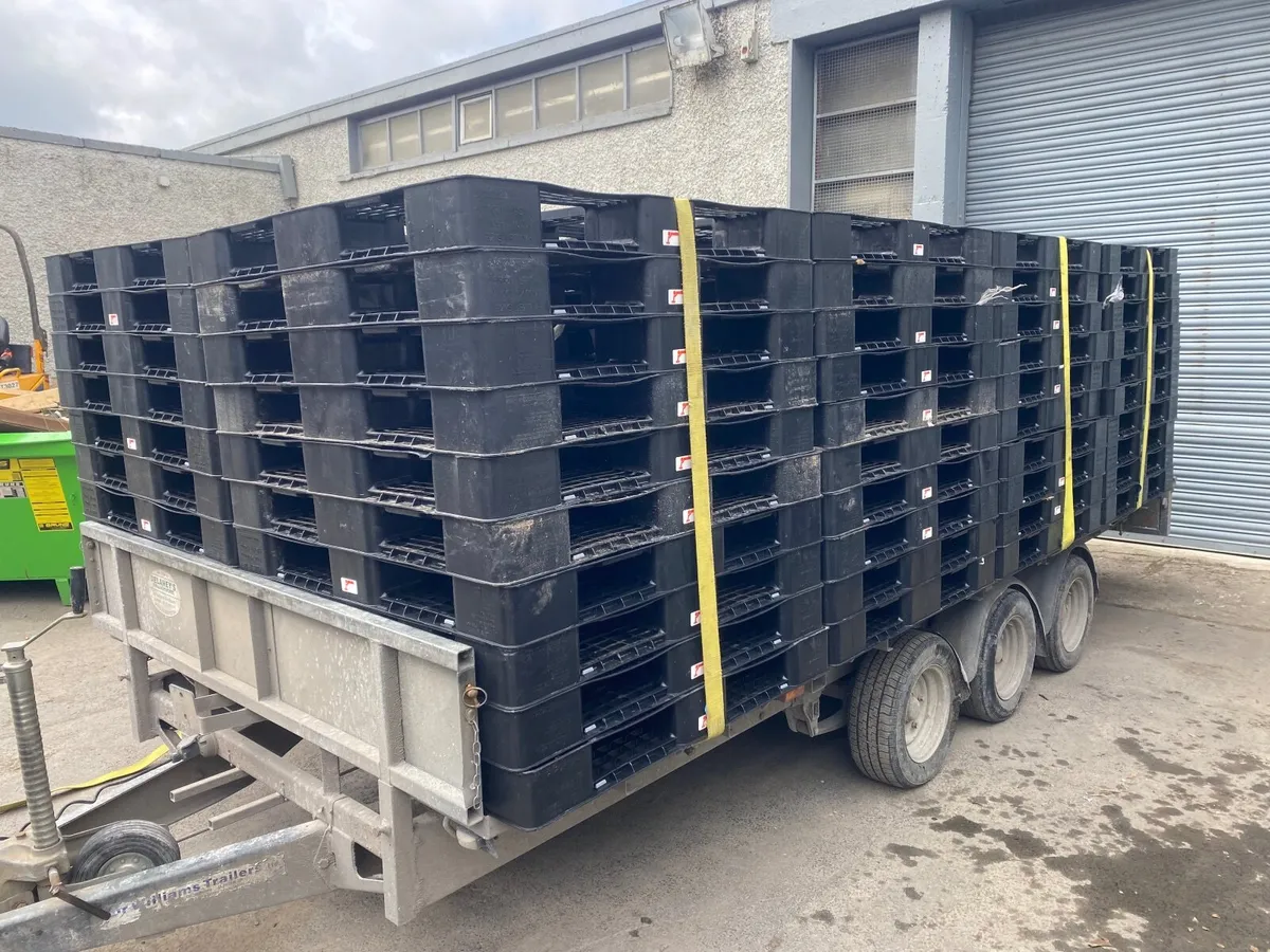 Plastic pallets - Image 3