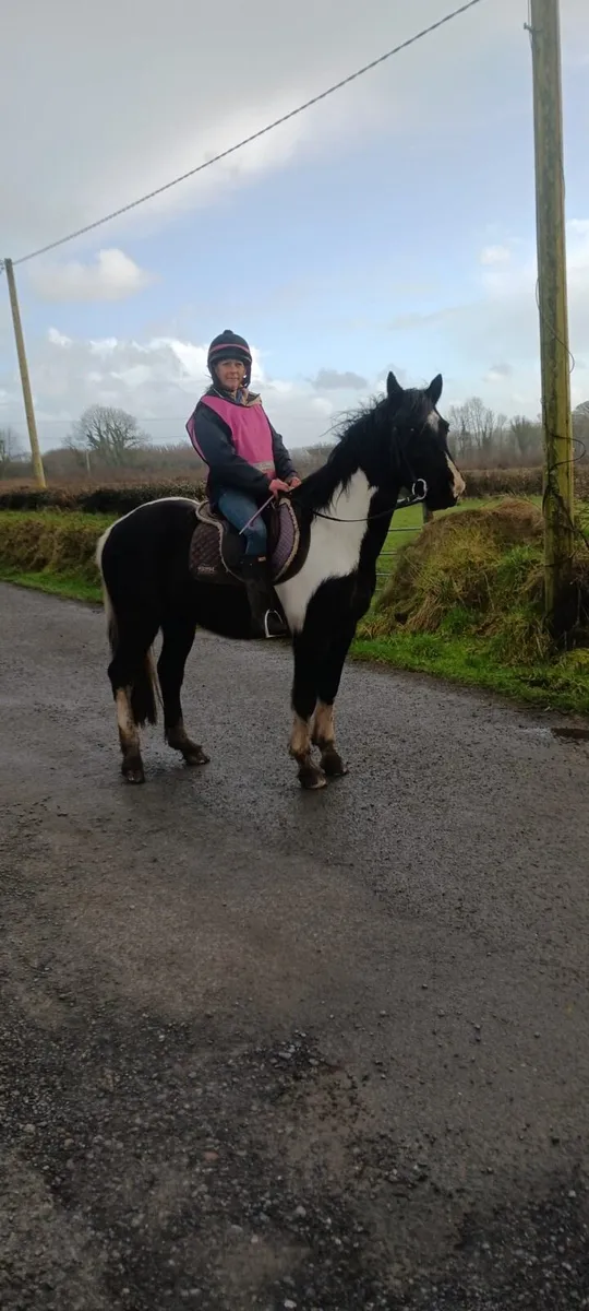 Pony for loan - Image 2