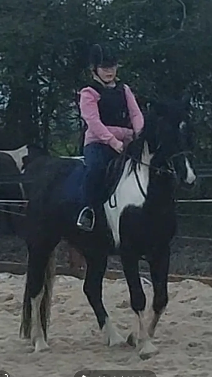 Pony for loan - Image 1