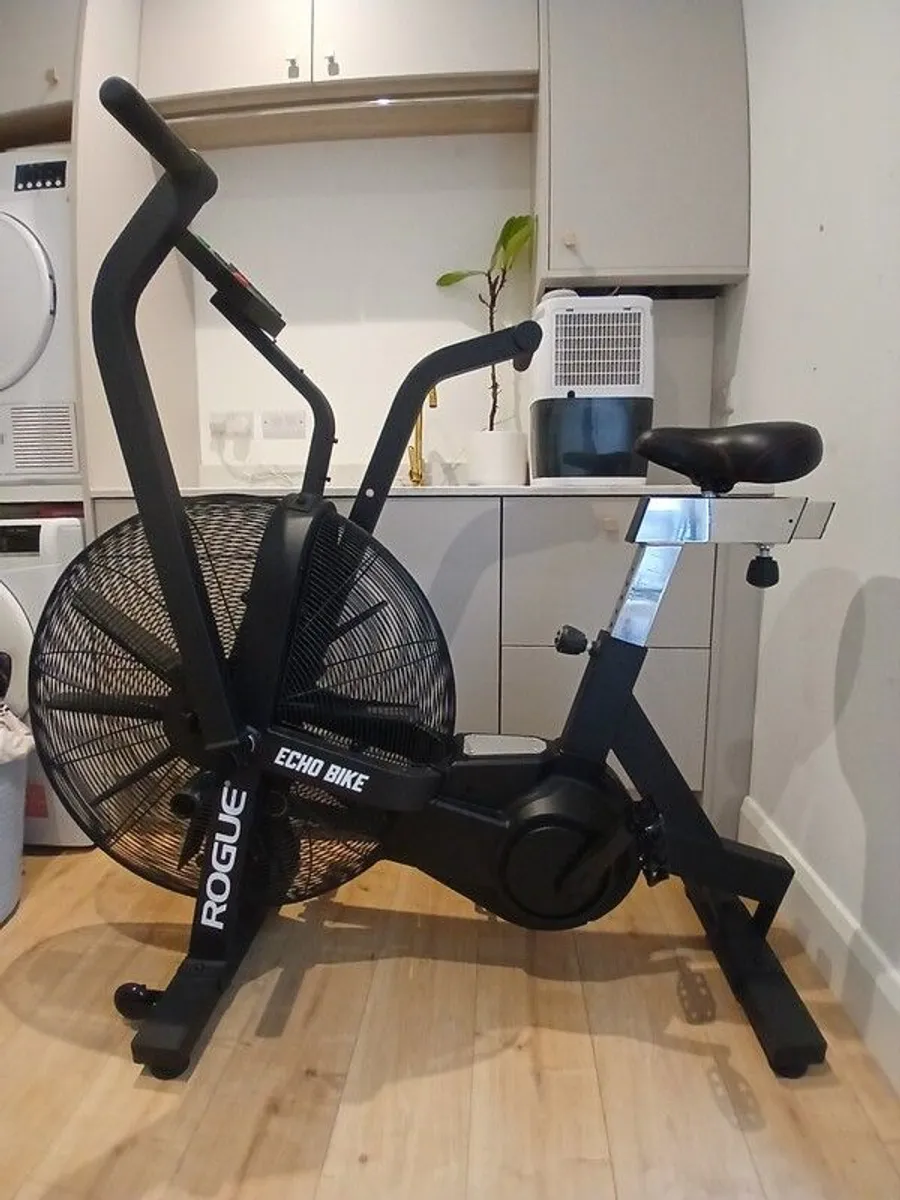Assault Air Bike - Rogue Echo - Image 1