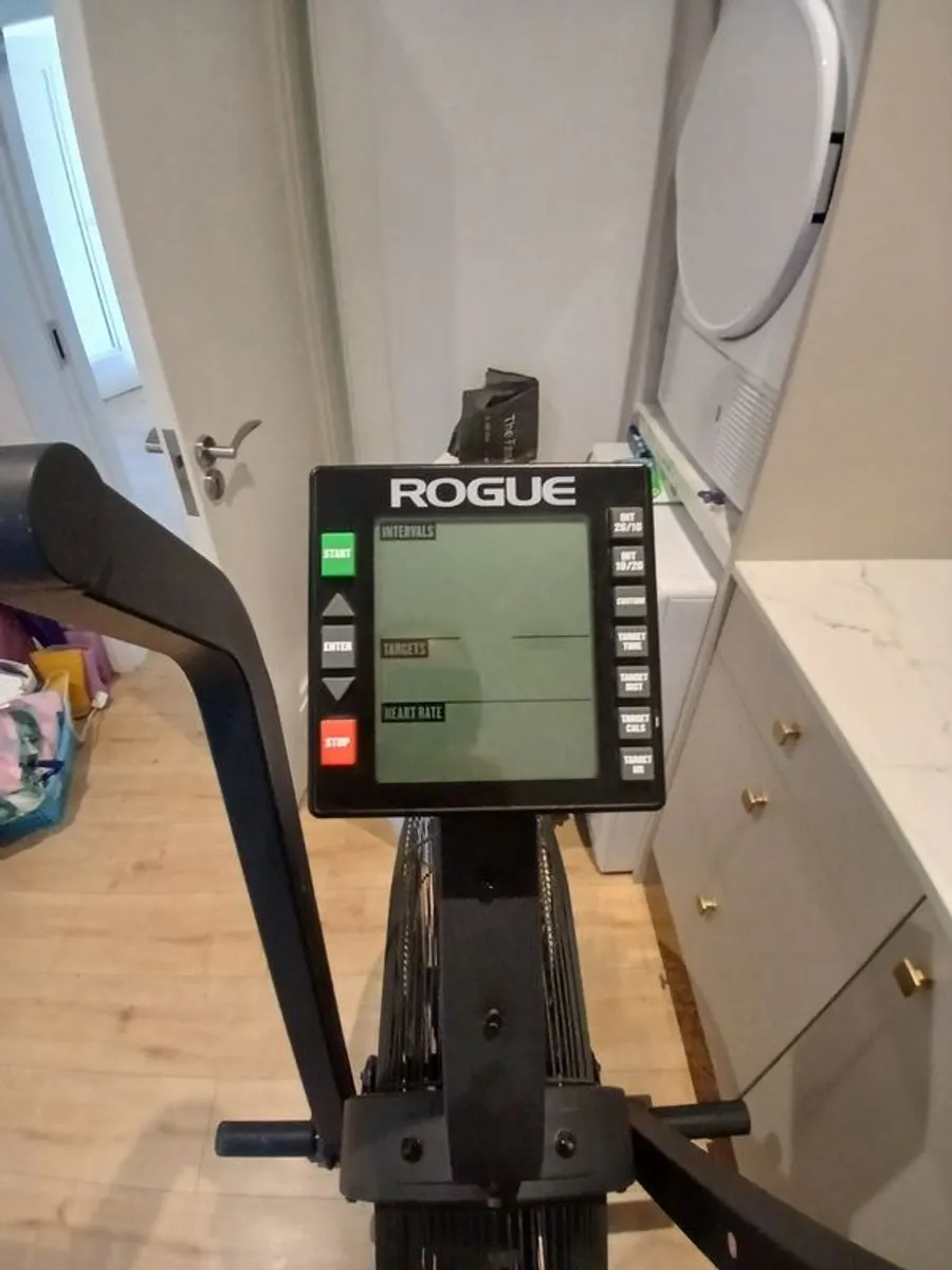 Assault Air Bike - Rogue Echo - Image 2