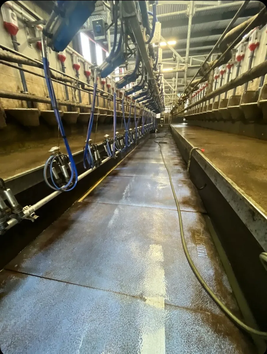 Relief Milking Available - Image 4