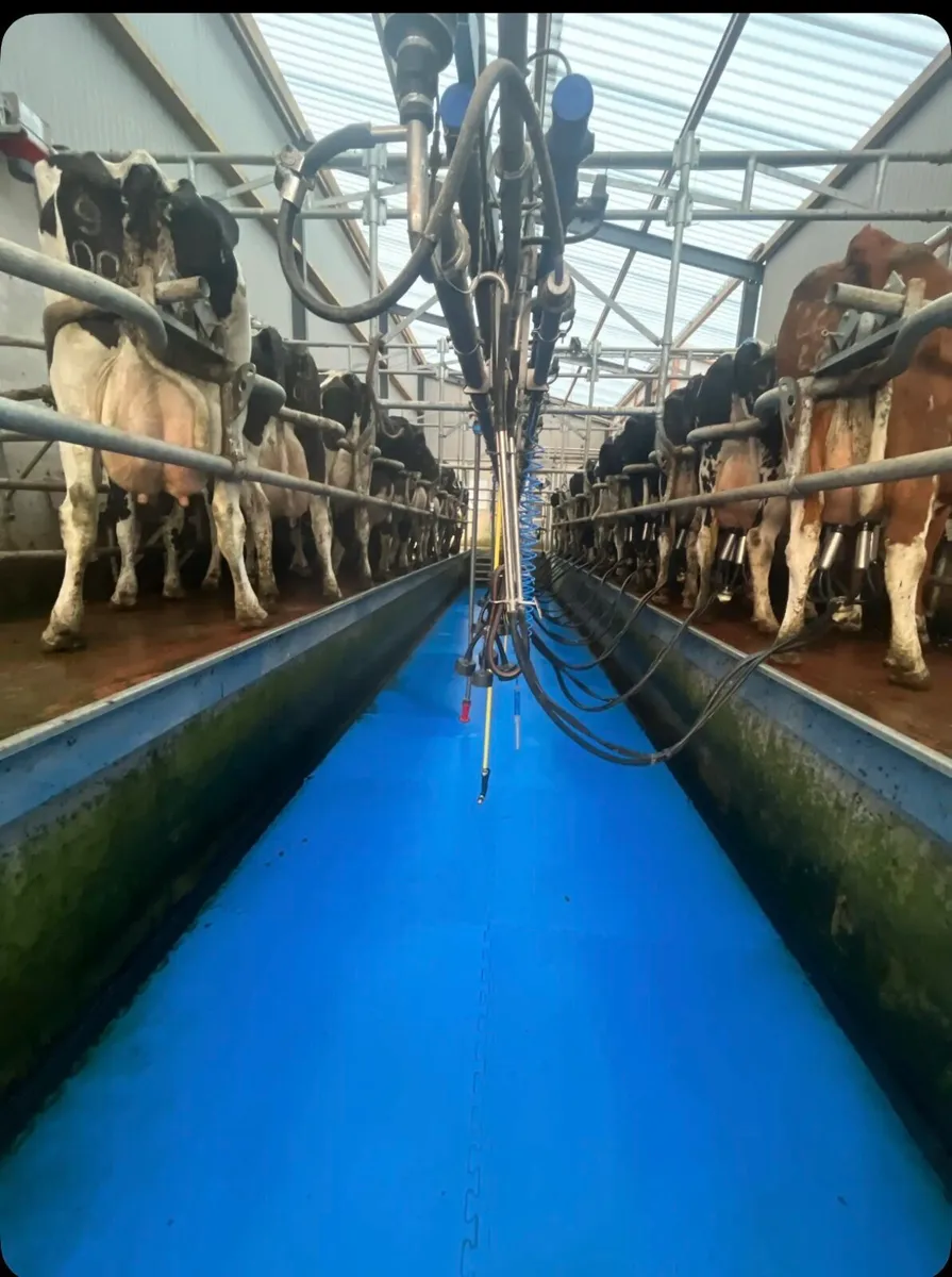 Relief Milking Available - Image 1