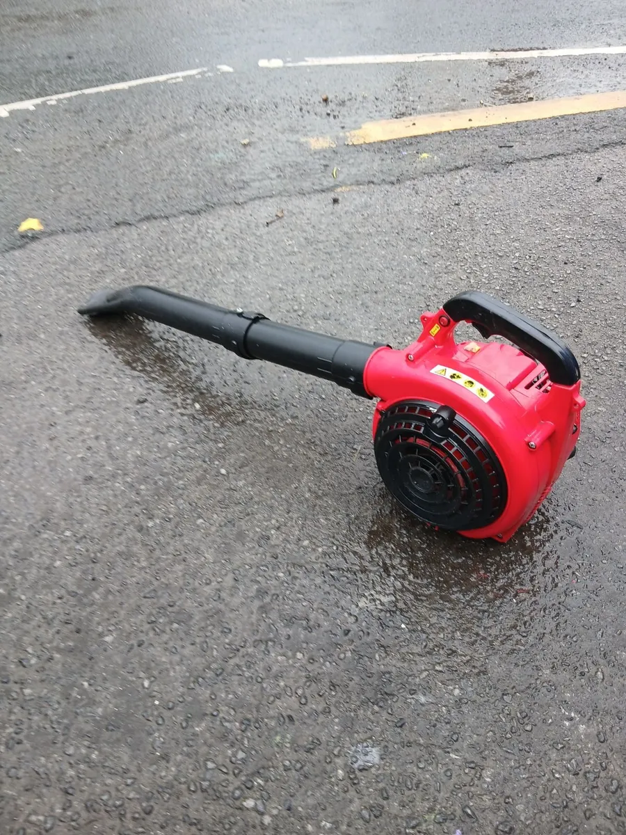 Leaf blower petrol running 100-percent - Image 1