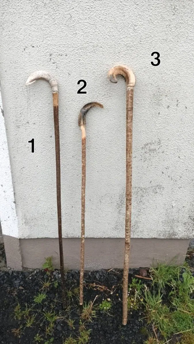 Shepherd Walking sticks - Image 1