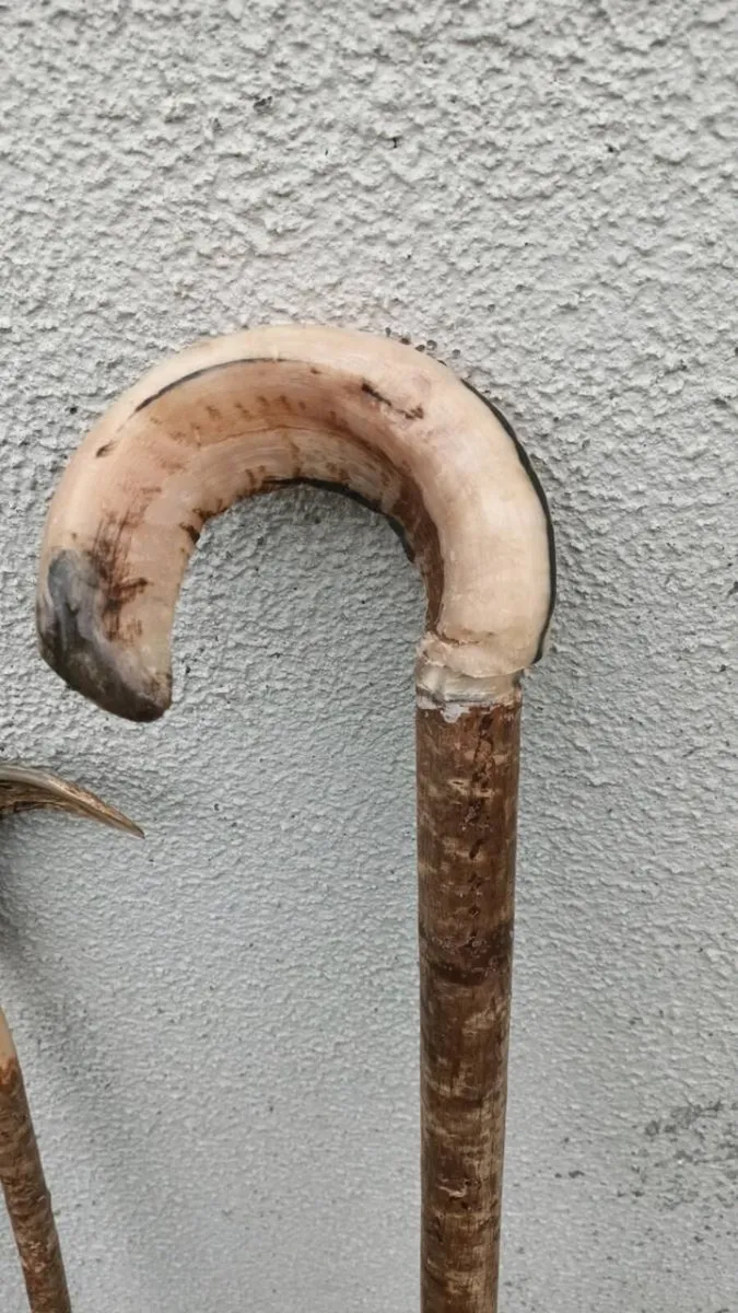 Shepherd Walking sticks - Image 3