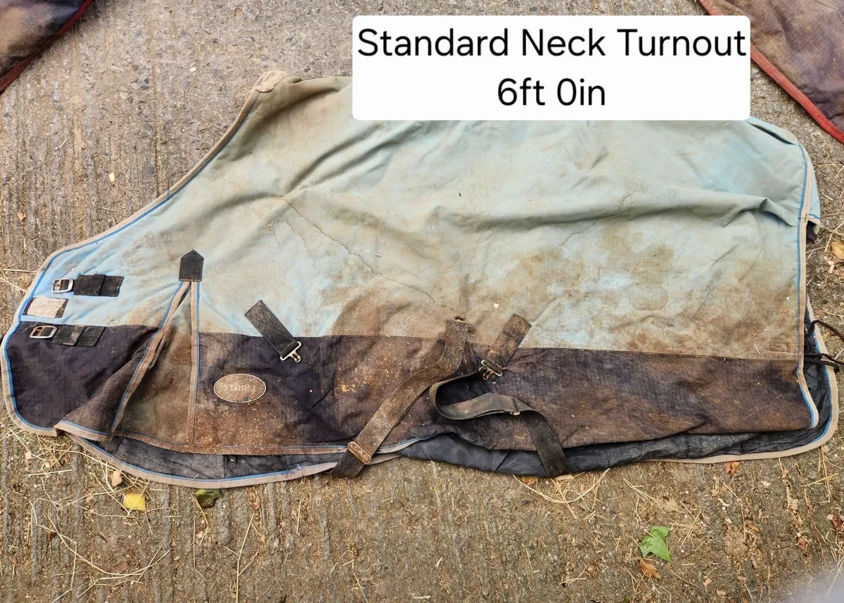 Turnout Rugs - Image 2