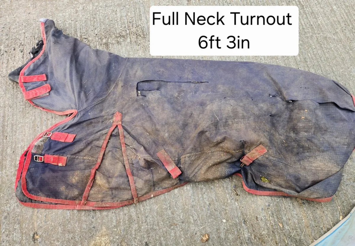 Turnout Rugs - Image 3