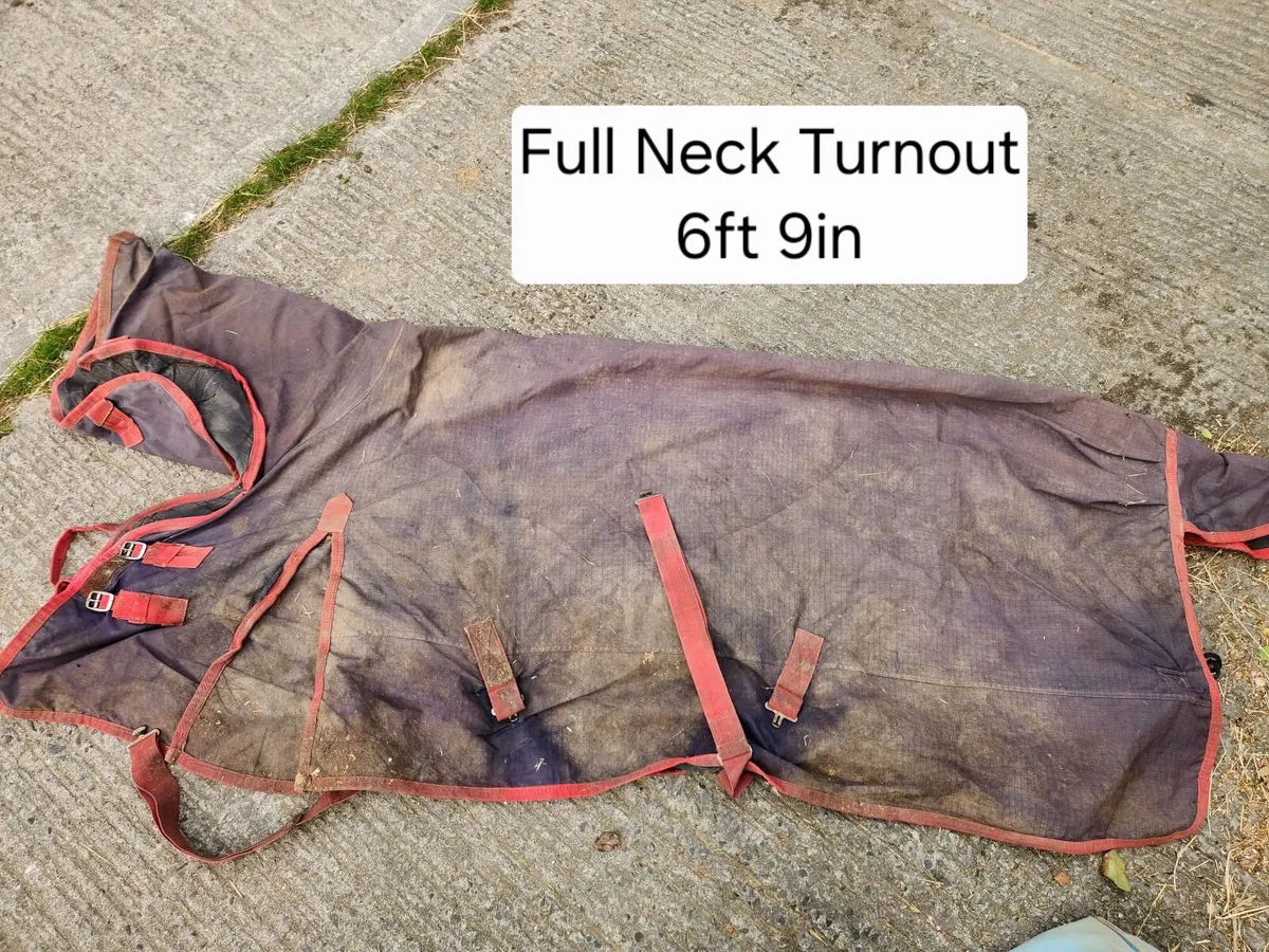 Turnout Rugs - Image 4