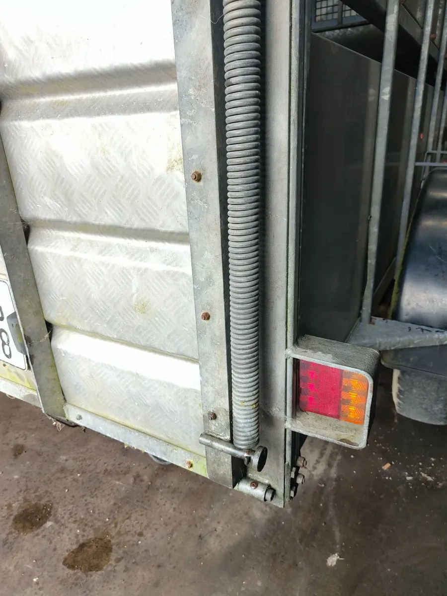 Cattle trailer - Image 2