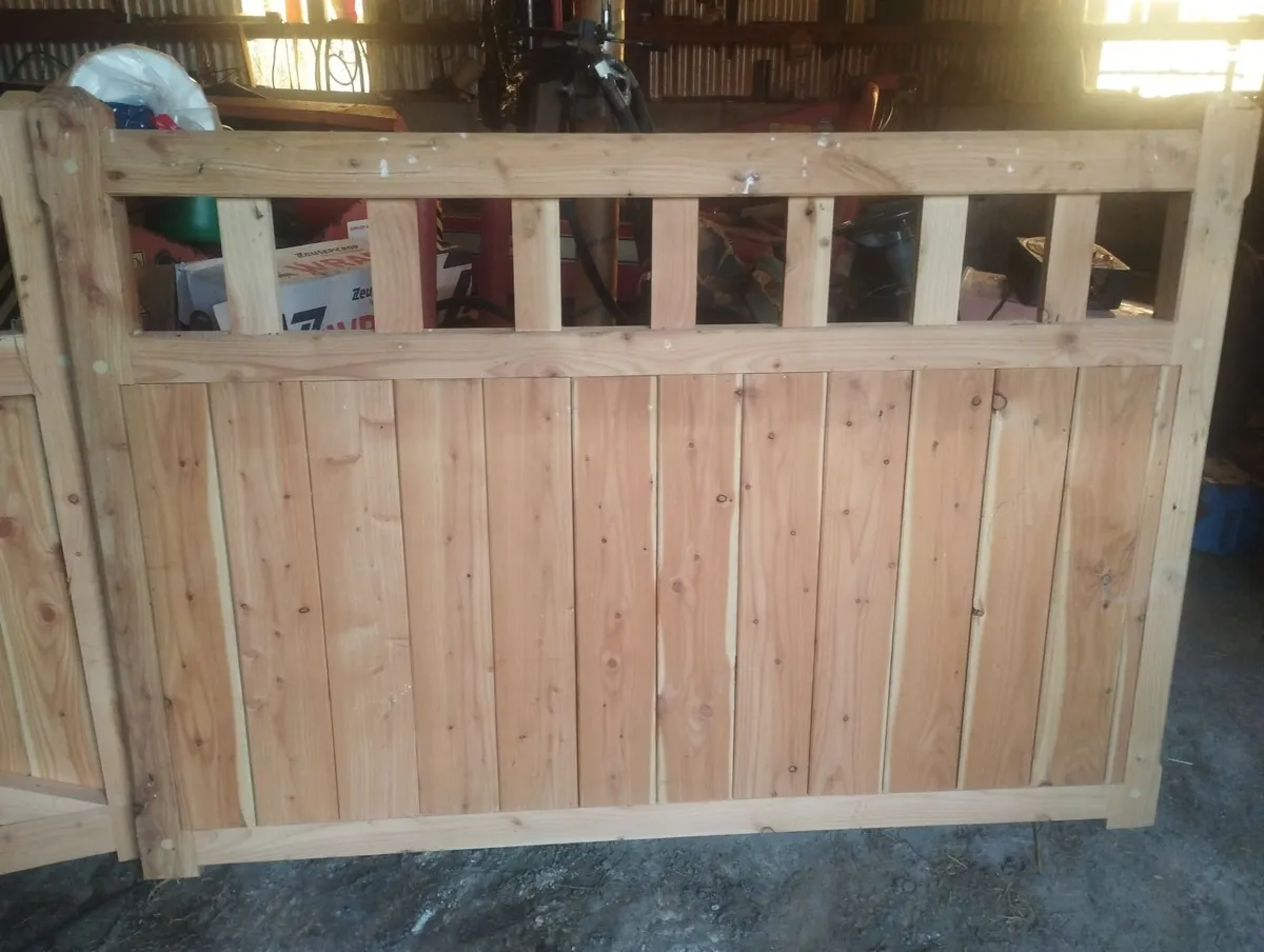 Douglas Fir Gates - Image 3