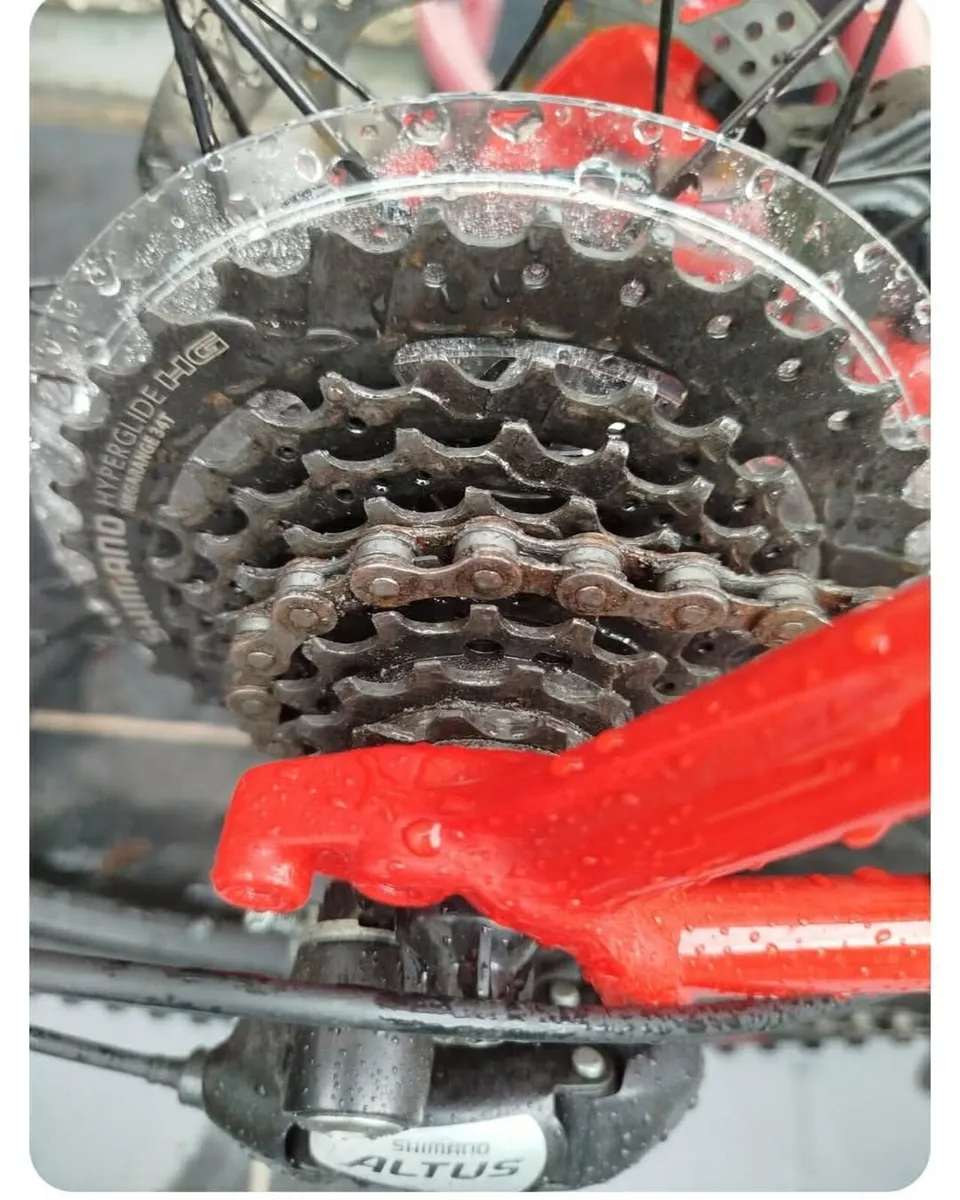 Push bike - Image 2