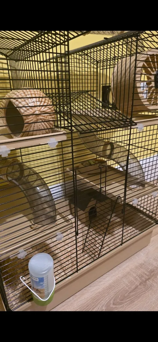 Hamster cage - Image 4