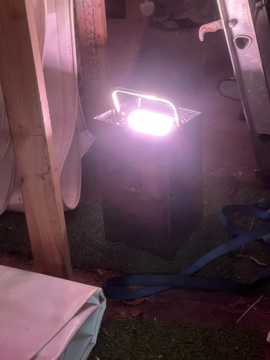 Lights - Image 2