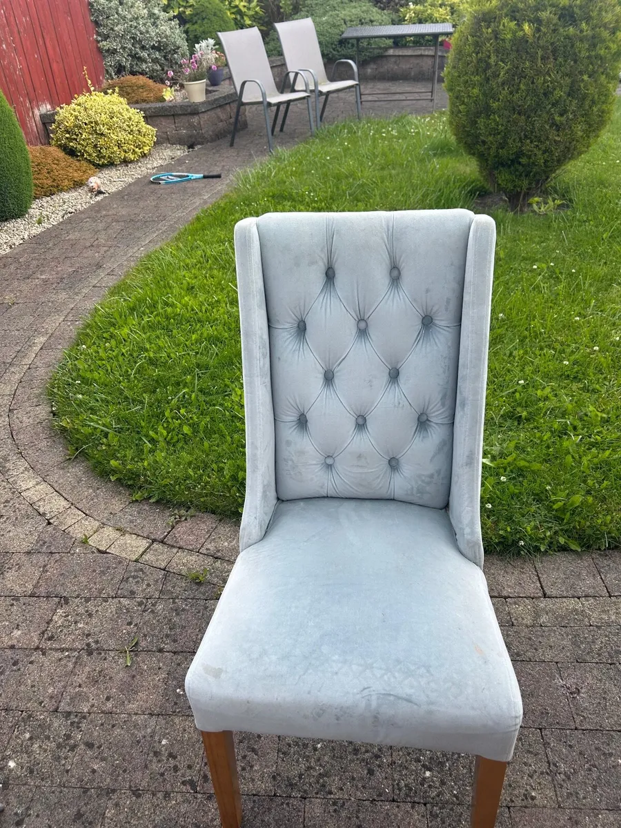 Kitchen chairs - Image 4