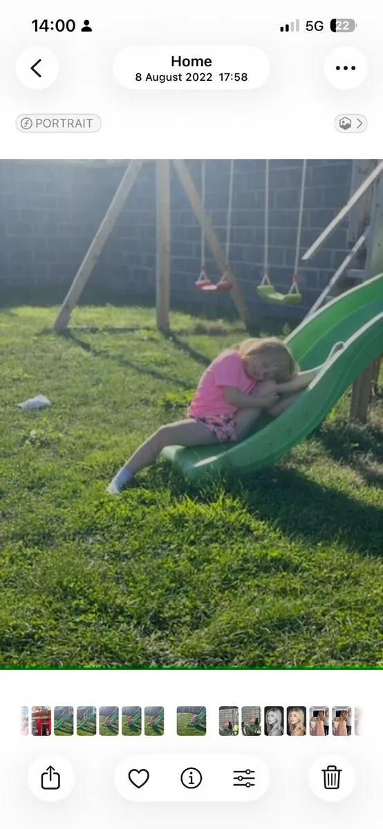 Playhouse and swing set - Image 2