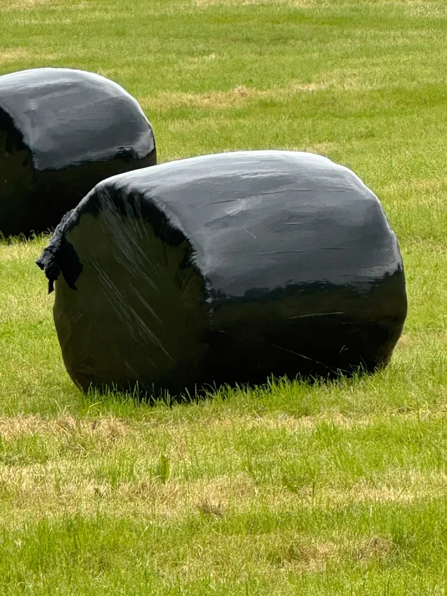 Haylage - Image 1