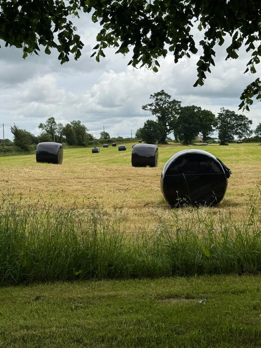 Haylage - Image 4