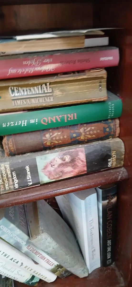 BOOKS & DVD'S - Image 4
