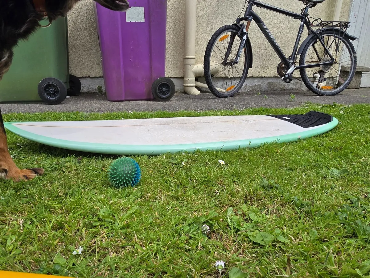 Surfboards - Image 4