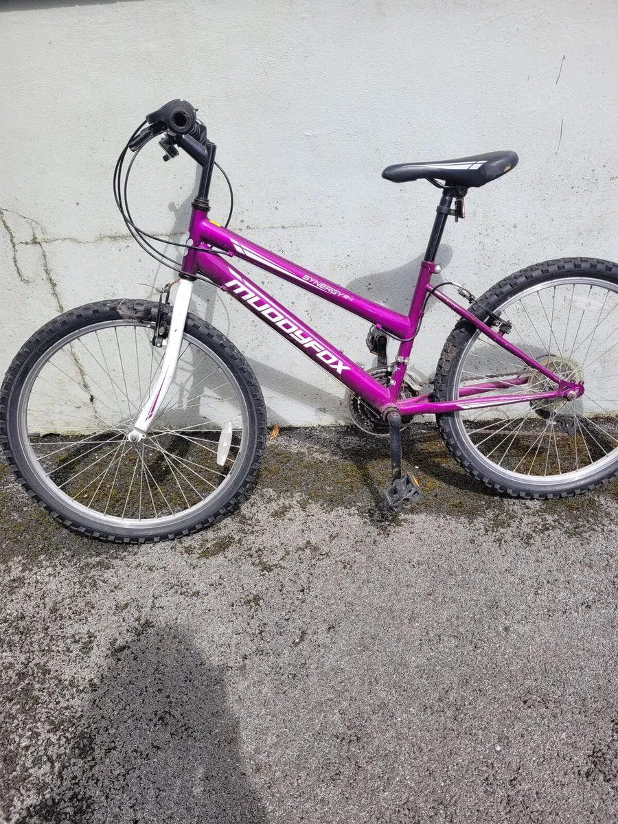 Girls bicycles - Image 1