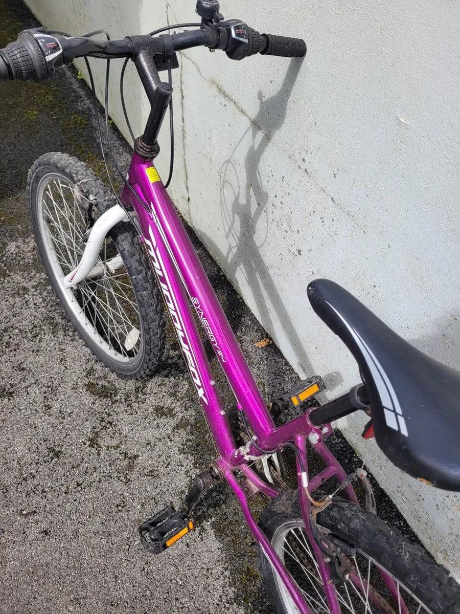 Girls bicycles - Image 2