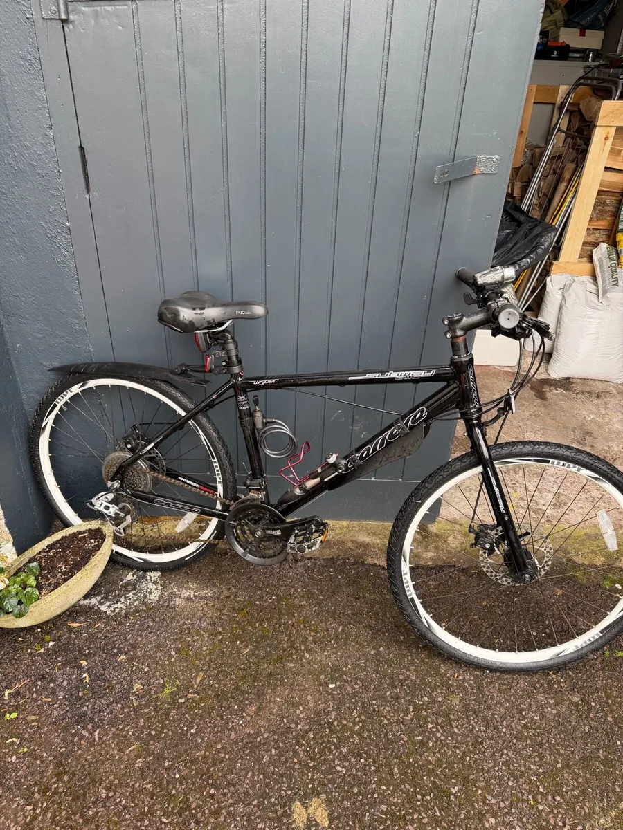 Ladies/Girls Bike