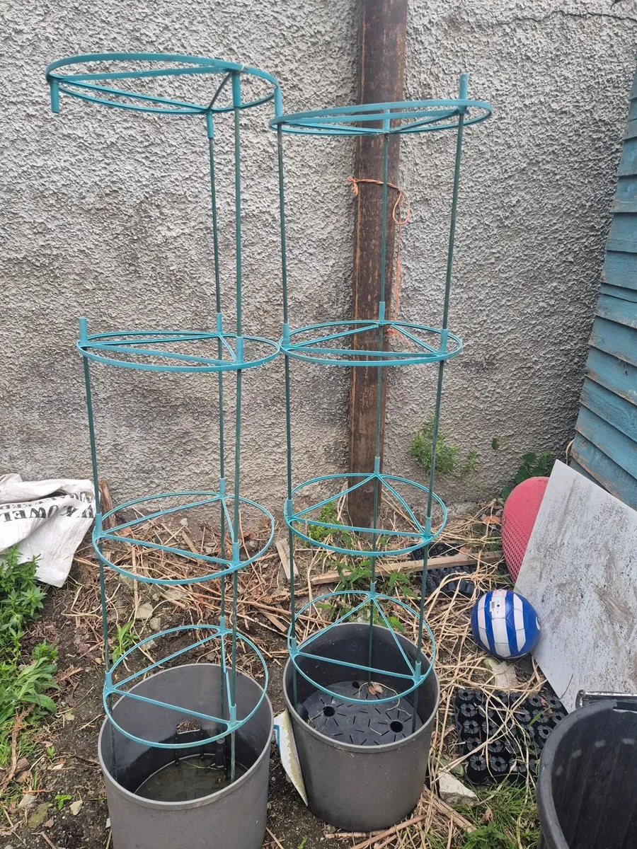 Tomato planters