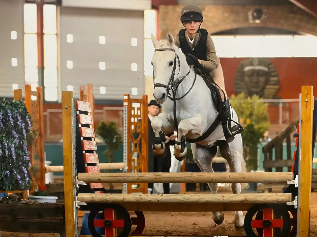 133cm  Competition Pony - Image 4