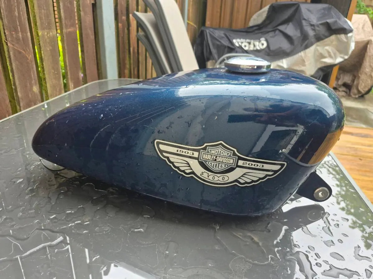 Harley davison africa twin - Image 3