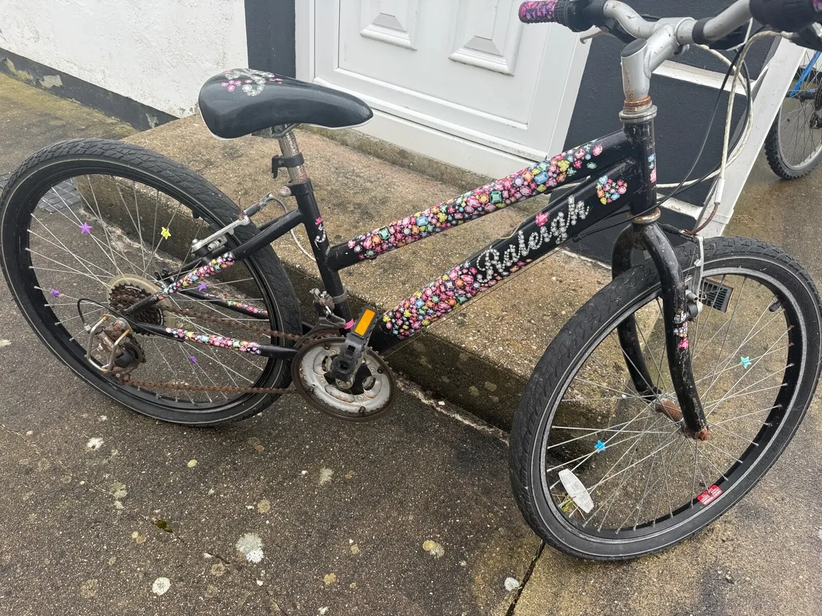 Bicycle Raleigh Krush - Image 1