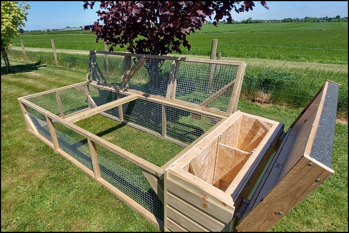 Rabbit Hutch & Enclosure - Image 4