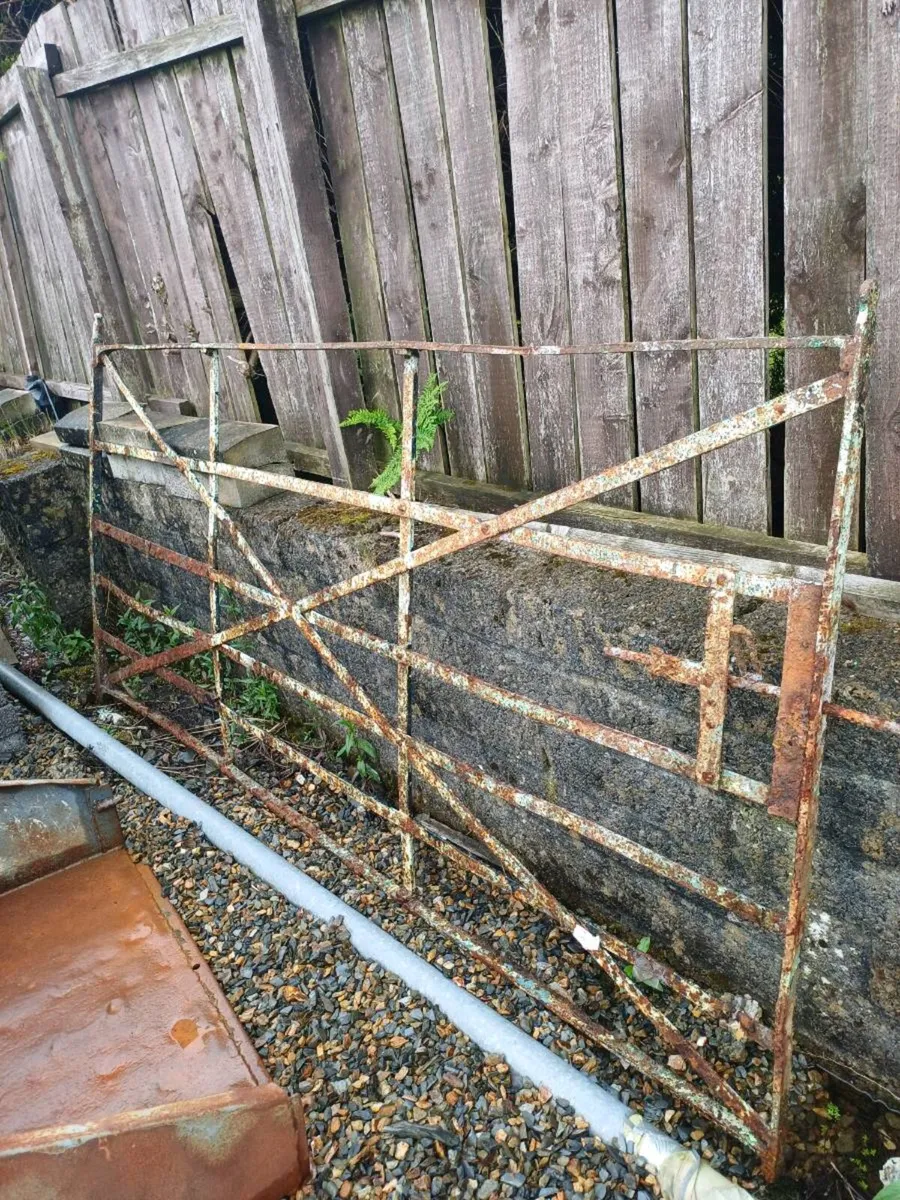 Old iron geat - Image 2