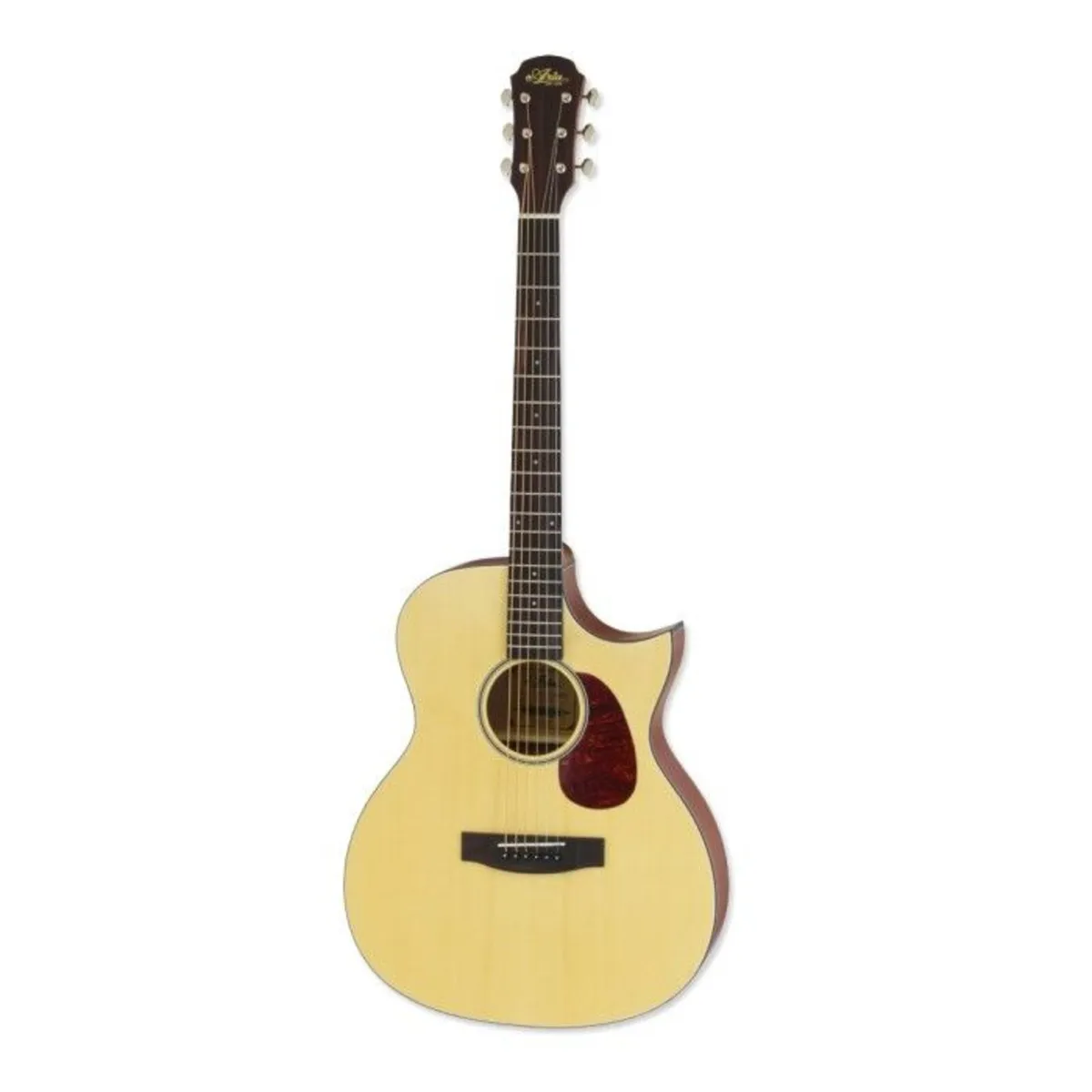 Aria Electro Acoustic Guitar - Image 1