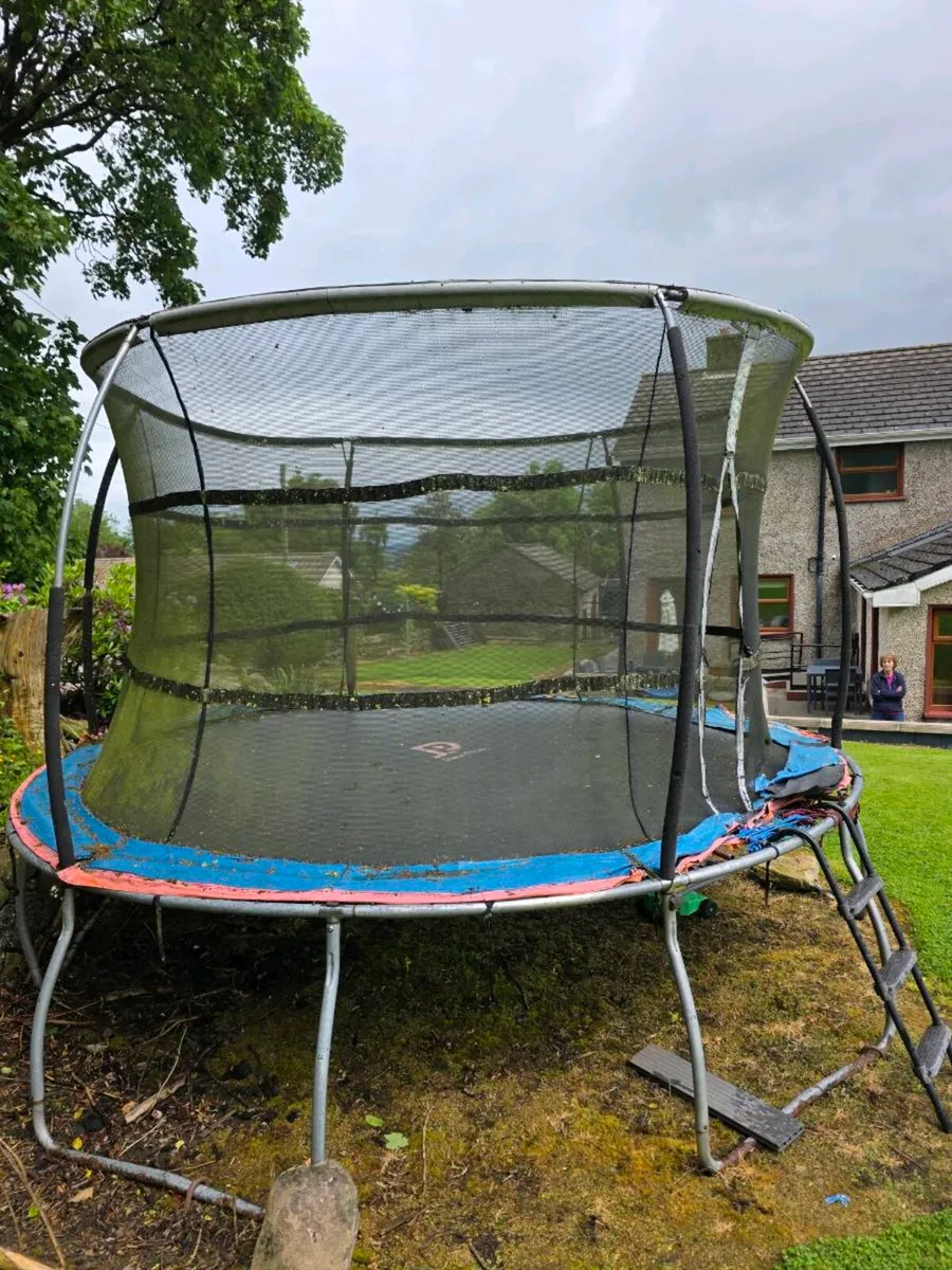 Trampoline - Image 1