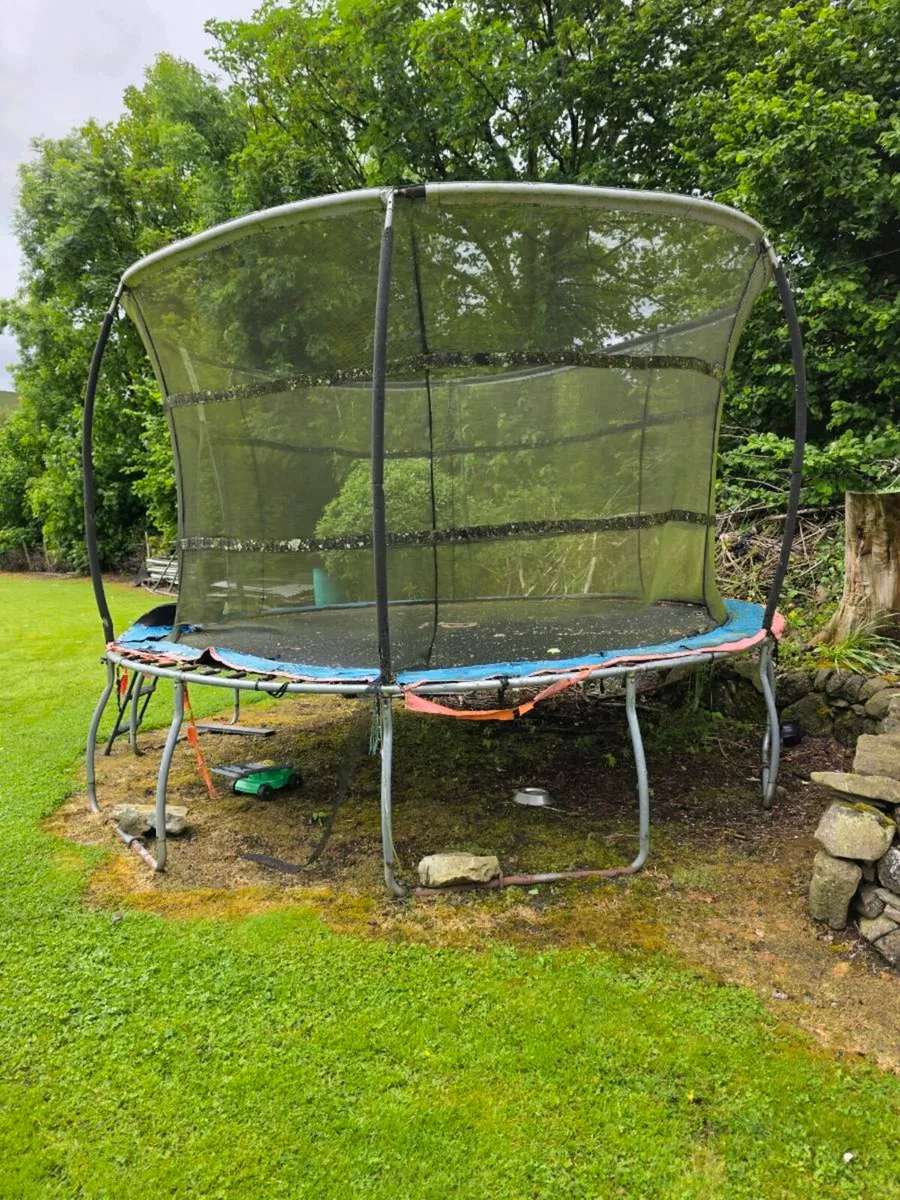 Trampoline - Image 3