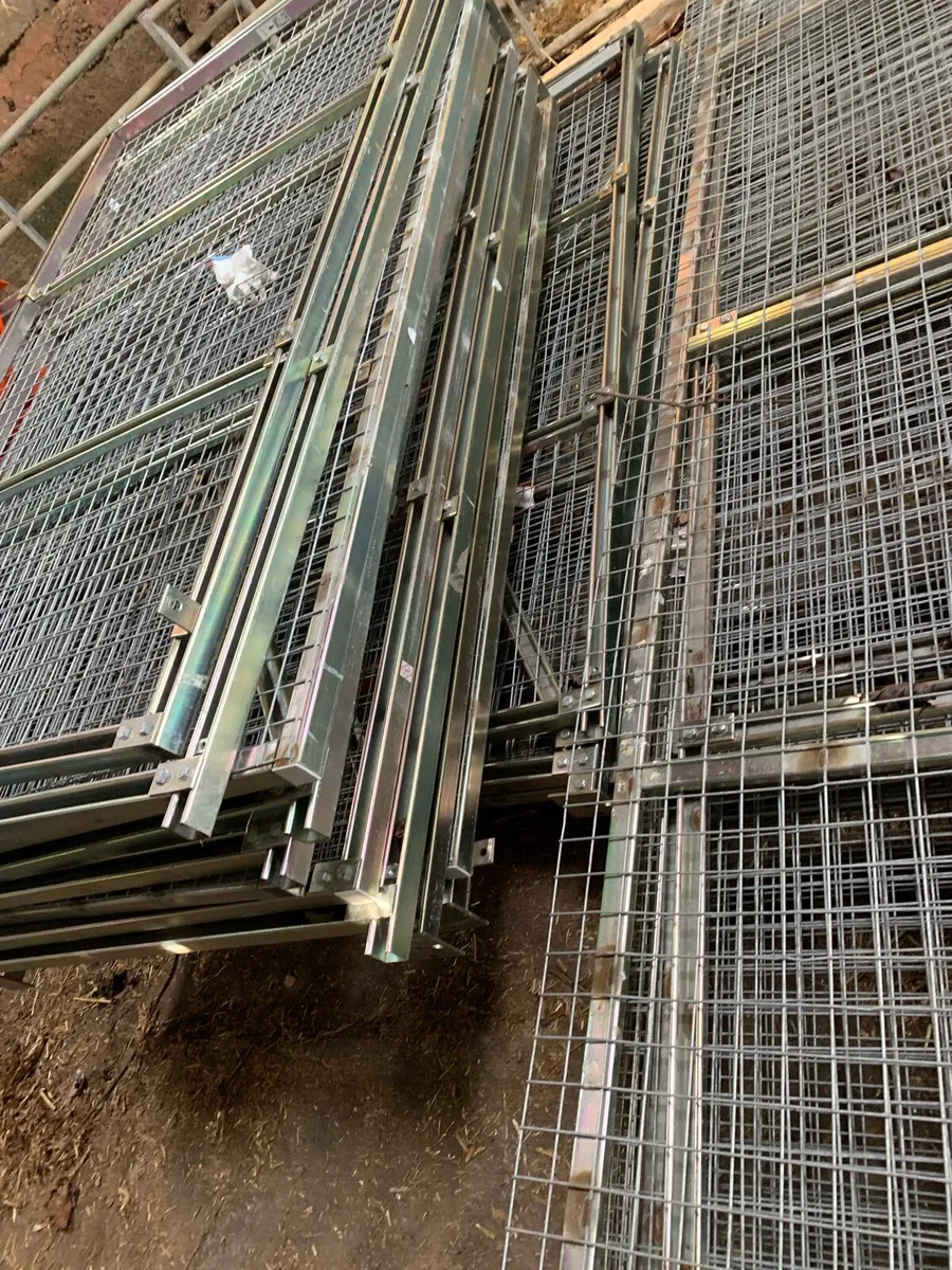 Steel - Image 1