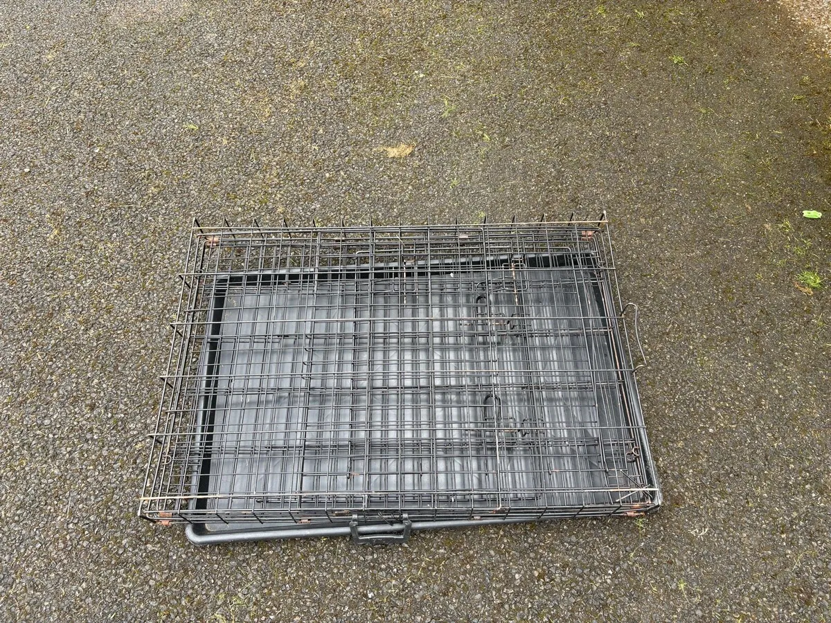 Crate dog - Image 3