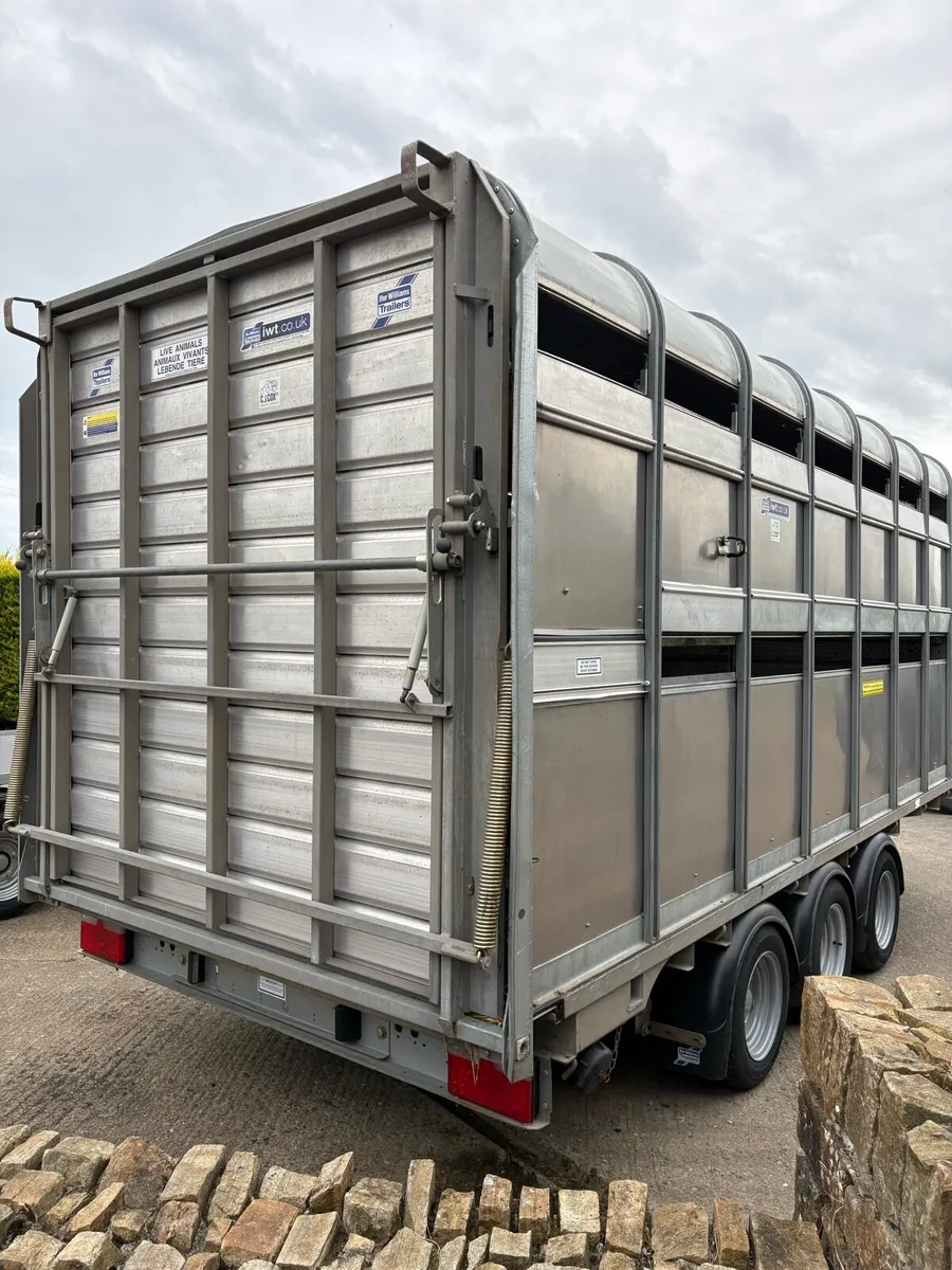Ifor Williams 2024 - Image 3