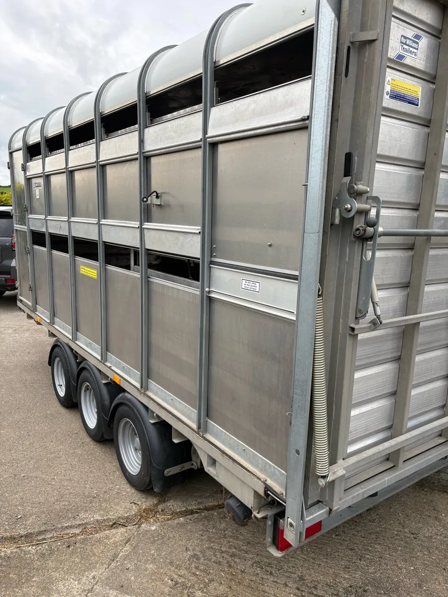 Ifor Williams 2024 - Image 4