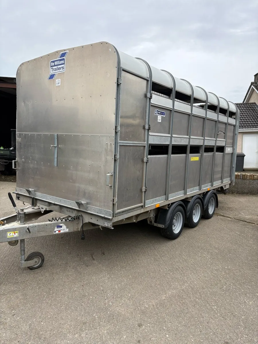 Ifor Williams 2024 - Image 1