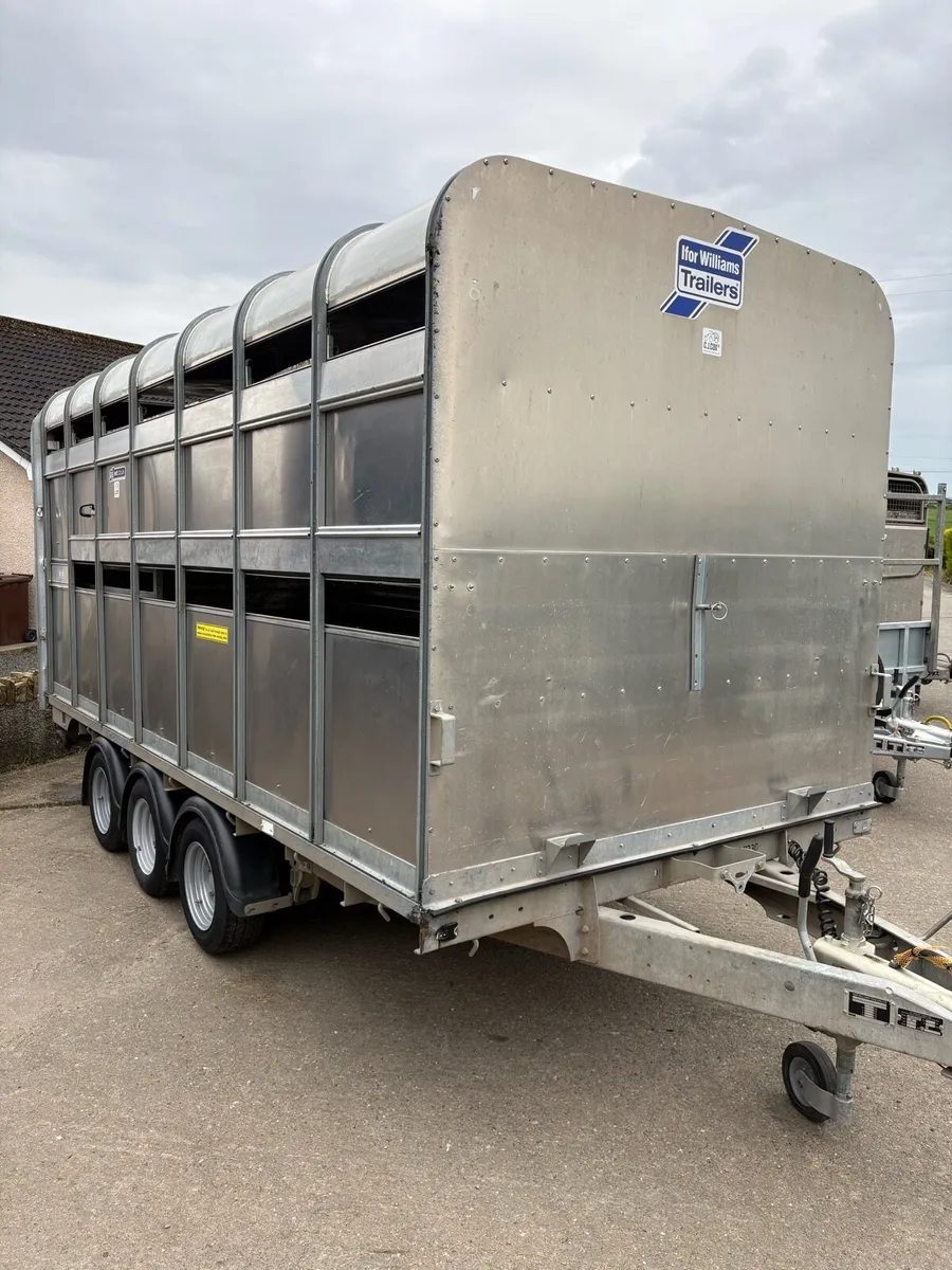 Ifor Williams 2024 - Image 2