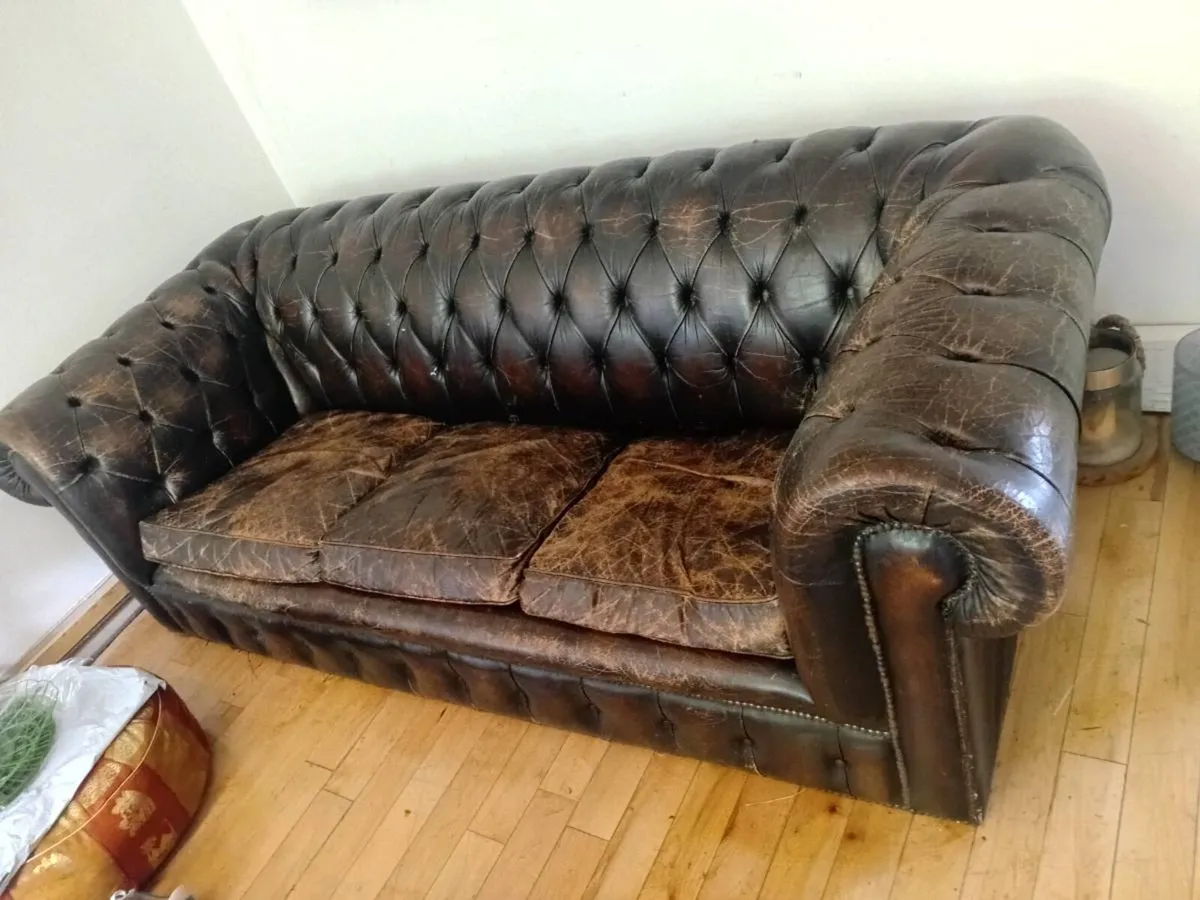 antique chesterfield in rare cigar brown - Image 2