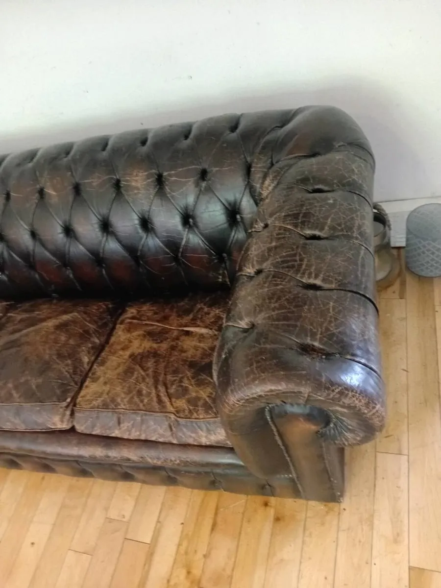 antique chesterfield in rare cigar brown - Image 4