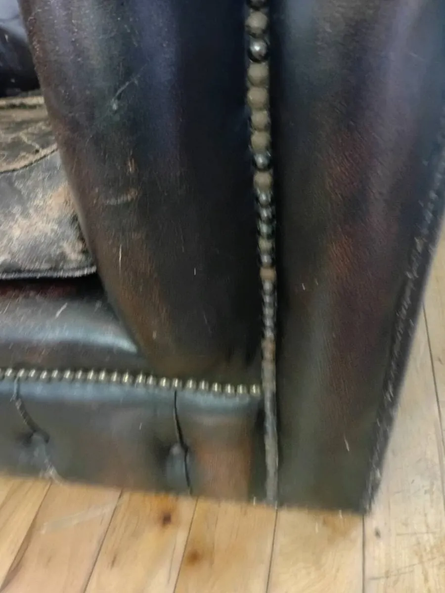 antique chesterfield in rare cigar brown - Image 3
